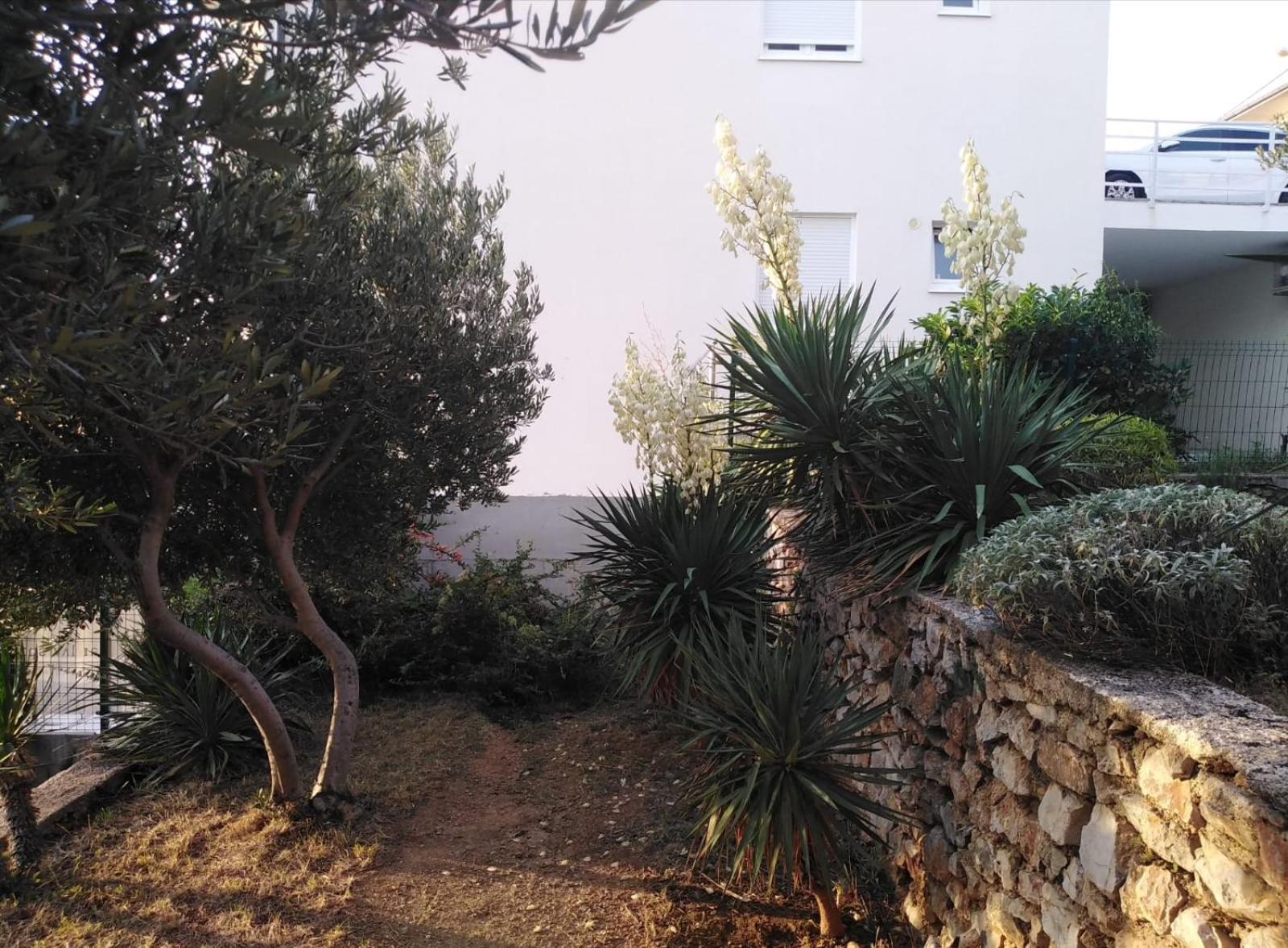 Apartment Franjo 塞尼 外观 照片